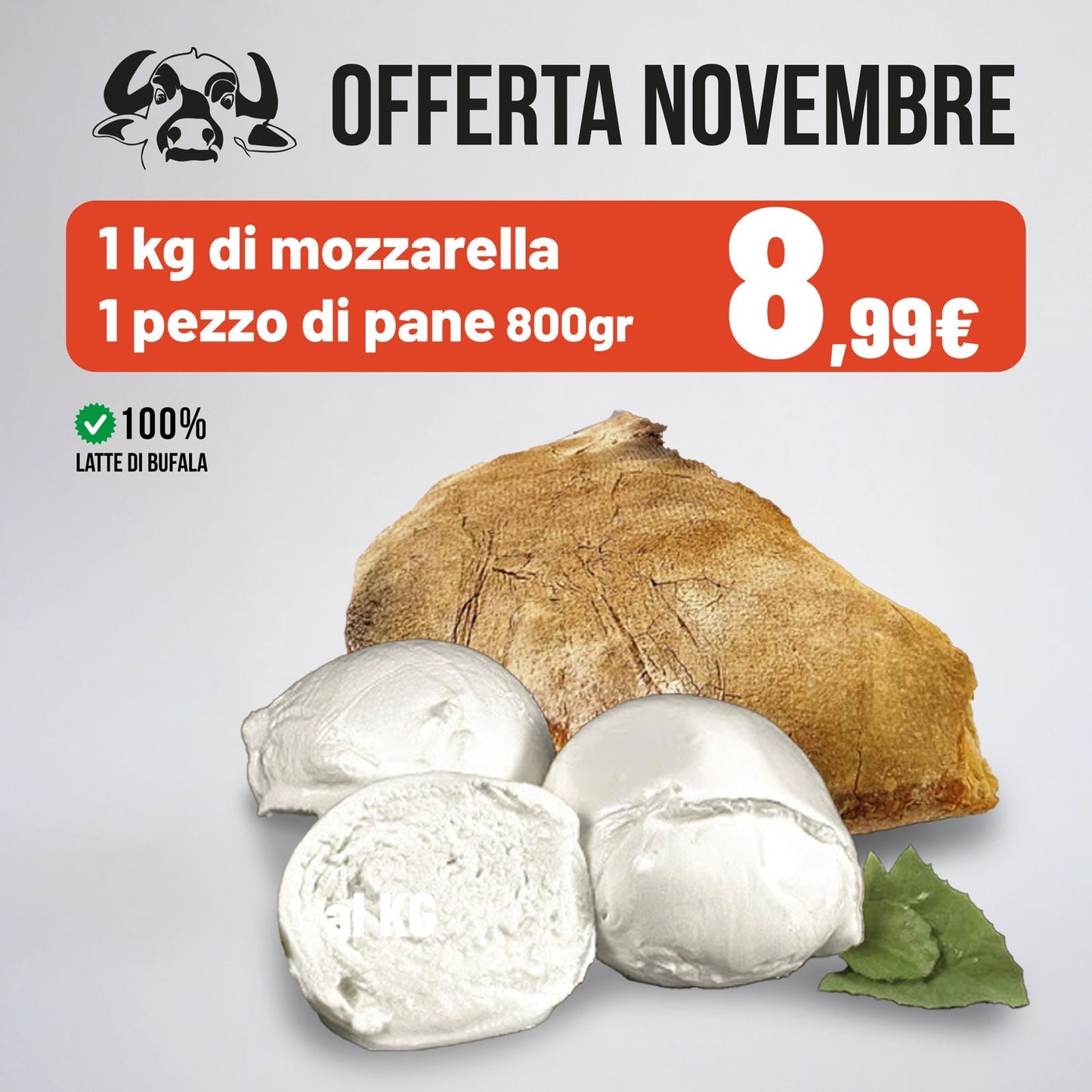 Offerta Novembre 2025
