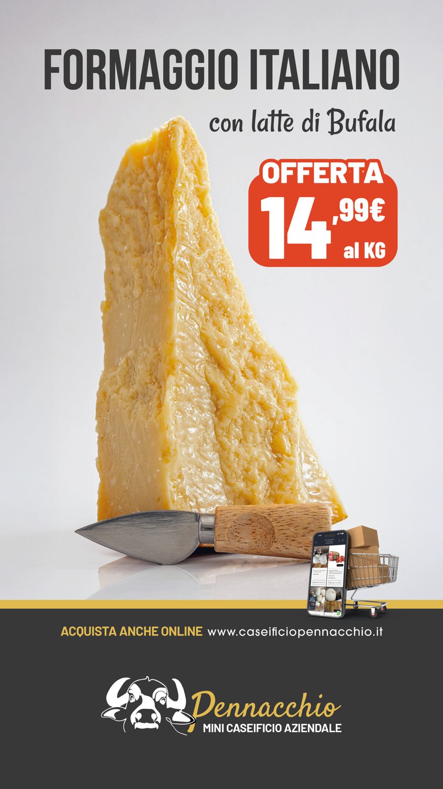 Formaggio Italiano duro italiano con latte di Bufala tranci da 1 kg