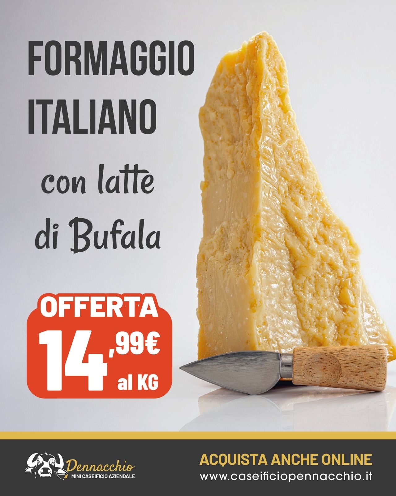 Formaggio italiano duro con latte di bufala trancio da 1 kg