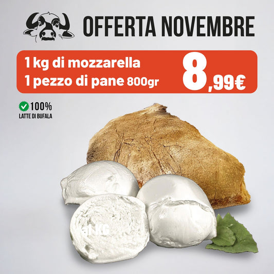 Offerta Novembre 2025