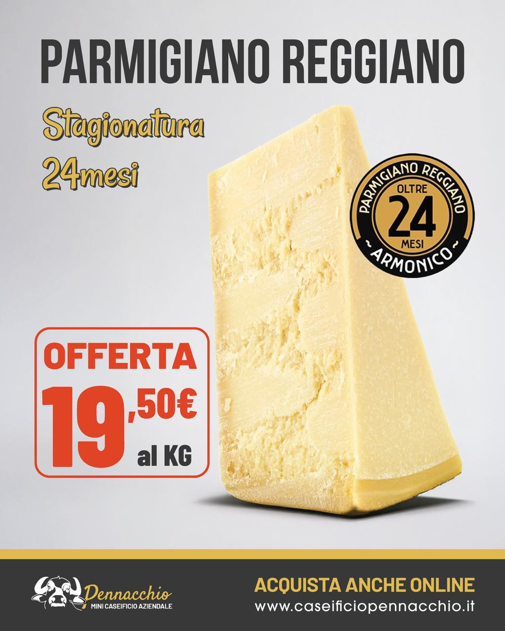 Parmiggiano Reggiano D.O.P 24 mesi trancio da 1kg