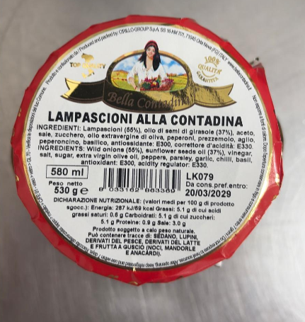 Lampascioni sotto olio vasetto da 580gr