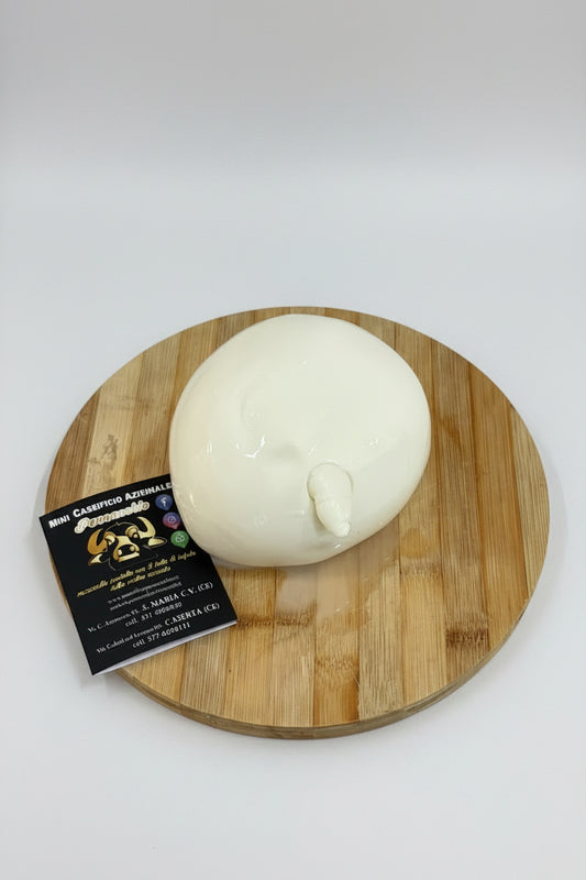 Zizza Mozzarella 100% latte di bufala a km/0