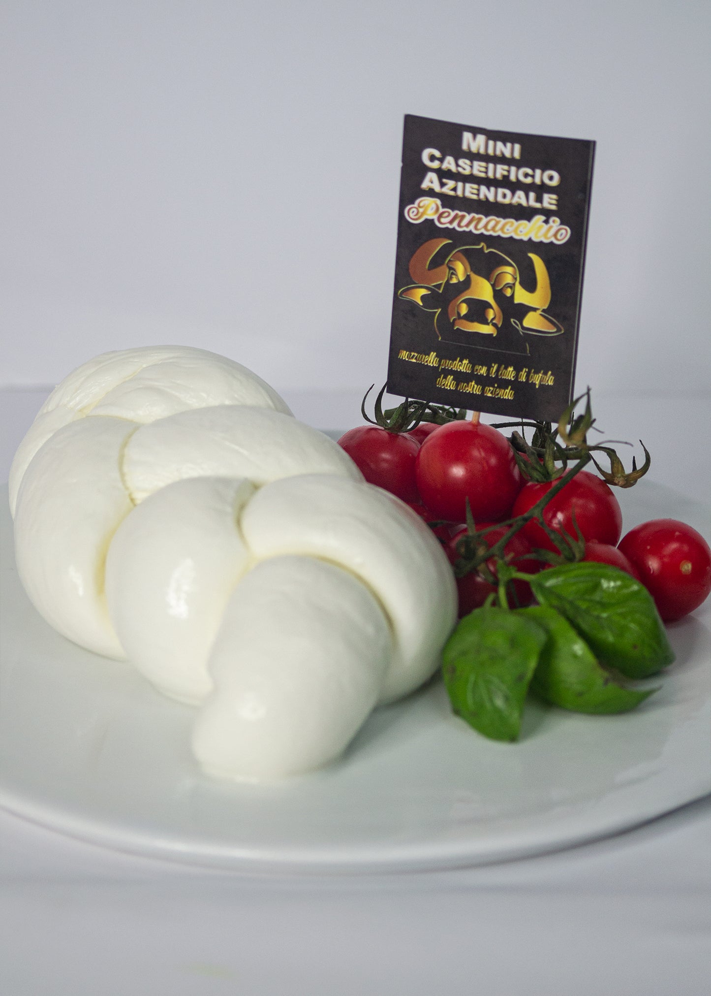 Trecce di latte di bufala